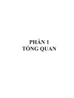 Tổng quan  hoàn nguyên phi đối xứng một số Ceton