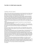 Con tằm và vị thuốc bạch cương tàm