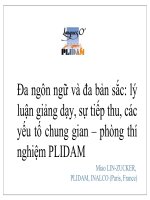 Đa ngôn ngữ và đa bản sắc lí luận giảng dạy, sự tiếp thu các yếu tố Trung gian