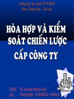 Hòa hợp và kiểm soát chiến lược cấp công ty