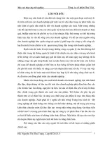 27 Công tác Kế toán tại Công ty cổ phần Hoa Việt (68tr)