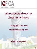 Giới thiệu chương trình cử nhân trực tuyến topica