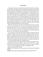 183 Vận dụng chuẩn mực Kế toán để hoàn thiện phương pháp Kế toán nguyên vật liệu tại Xí nghiệp Cơ khí Z79