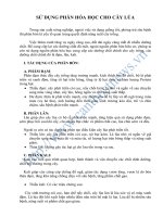 53_TT.L.17_Su-dung-phan-bon-hoa-hoc-cho-lua