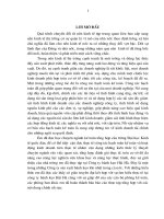 141 Công tác hạch toán kế toán tại Công ty bánh kẹo Hải Hà