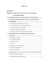 284 Giải pháp nhằm nâng cao năng lực cạnh tranh cho Ngân hàng Công thương khu công nghiệp Biên Hòa đến năm 2010