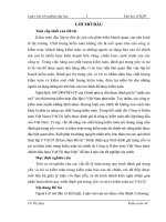 349 Hoàn thiện quy trình đánh giá trọng yếu và rủi ro kiểm toán trong kiểm toán tài chính do Công ty Kiểm toán Việt Nam TNHH (VACO) thực hiện
