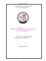 2011-HOA-SKKN-PPGD-NGHIA