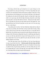 Chiến lược phát triển thị trường xuất khẩu của Việt Nam sang các nước ASEAN