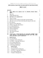 Đánh giá năng lực cạnh tranh của doanh nghiệp Việt Nam trong hội nhập