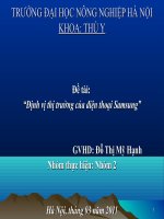 Định vị thị trường của điện thoại Samsung