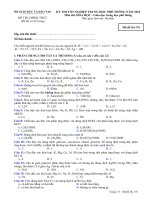 Đề thi tốt nghiệp trung học phổ thông năm 2010