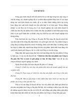 Chiến lược tiêu thụ sản phẩm của công ty da giày Hà Nội