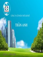 BÀI SILDE CÔNG TY CP THẾ GIỚI SỐ TRẦN ANH