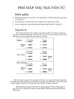 Phổ hấp thụ nguyên tử