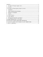 Strengths of Vietnam’s plastic sector