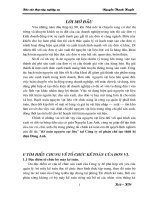 61 Kế toán nguyên vật liệu” tại Công ty cổ phần chế tạo thiết bị điện Đông Anh