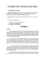 Vitamin tan trong chất béo