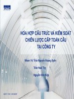 Hòa hợp cấu trúc và kiểm soát chiến lược cấp toàn cầu tại công ty
