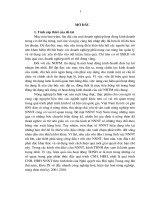 321 Giải pháp nâng cao hiệu quả hoạt động tín dụng Ngân hàng Nông nghiệp và Phát triển Nông thôn Quảng Nam đối với lĩnh vực nông nghiệp, nông thôn