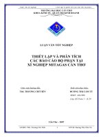 THIẾT LẬP VÀ PHÂN TÍCH  CÁC BÁO CÁO BỘ PHẬN TẠI  XÍ NGHIỆP MITAGAS CẦN THƠ
