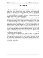 Thực trạng tạo vốn và sử dụng vốn trong các DNNN ở Việt Nam hiện nay