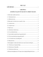 301 Xây dựng chính sách thuế tài sản ở Việt Nam