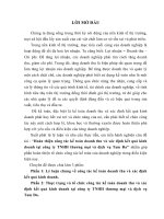 Hoàn thiện công tác kế toán doanh thu và xác định kết quả kinh doanh tại công ty TNHH thương mại và dịch vụ Tam Đa