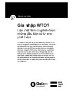 Gia nhập WTO? Liệu Việt Nam có giành được những điều kiện có lợi cho phát triển