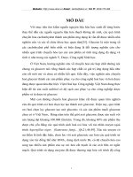 Nghiên cứu tổng hợp canxi gluconat bằng quá trình oxy hóa chọn lọc glucozơ sử dụng xúc tác  Pt và Ag / MCM-41