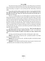 Một số chỉ tiêu phân tích hoạt động kinh doanh của Công ty bánh kẹo Hải Hà