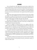 Nguồn vốn kinh doanh của Ngân hàng Thương mại và giải pháp tạo lập vốn kinh doanh của Ngân hàng Thương mại ở Việt Nam