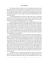 86 Hoàn thiện hạch toán nguyên vật liệu tại Công ty gốm xây dựng Xuân Hòa (72tr)