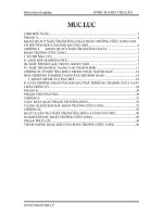 Một số đặc điểm đia hóa tầng đá mẹ Olugocene hạ - bồn trũng Cửu Long