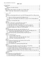 Báo cáo tình hình thực hiện công ước Cedaw của Việt Nam