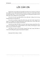 Nghiên cứu khả năng thu hồi gelatin từ da phế thải và khả năng áp dụng công nghệ này ở Việt Nam