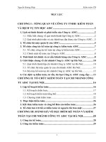 66 Báo cáo thực tập tại Công ty TNHH Kiểm toán và dịch vụ tin học AISC