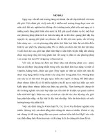 ứng dụng điện cực paste cacbon biến tính bởi HgO