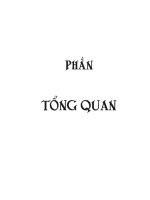 Tông quan về li trích Rutin từ hoa hòe và điều chế Quercetin cùng các dẫn xuất