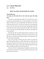 Tác động của Xuất khẩu, Đầu tư trực tiếp nước ngoài đến Nhập khẩu.