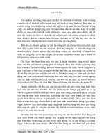 110 Kế toán bán hàng và xác định kết quả kinh doanh tại Công ty cổ phần Ngọc Anh