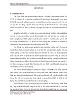 Phân tích hoạt động tài chính Công ty TNHH QC&TM Rồng Việt