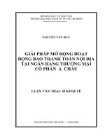 170 Giải pháp mở rộng hoạt động bao thanh toán nội địa tại Ngân hàng Thương mại cổ phần Á Châu