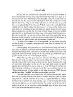 216 Kế toán nghiệp vụ bán hàng tại Công ty CPKD thép và vật liệu xây dựng Tân Việt