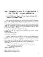 61 Kế toán nghiệp vụ bán hàng trong doanh nghiệp kinh doanh thương mại tại Công ty XNK tổng hợp I – Chi nhánh TP. HCM.