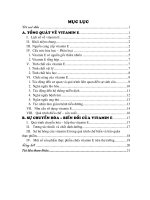 Mục lục tổng quát về Vitamin