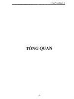 Tổng quan  nghiên cứu , tổng hợp, khảo sát hoạt tính xúc tác khử NOx của hệ OSM2