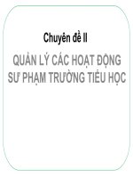 Quản lý các hoạt động sư phạm trường tiểu học