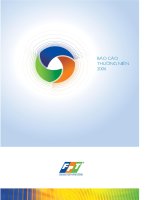 Báo cáo thường niên FPT