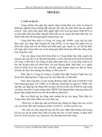 Đánh giá tác động môi trường Dự án Thuỷ điện La Trọng